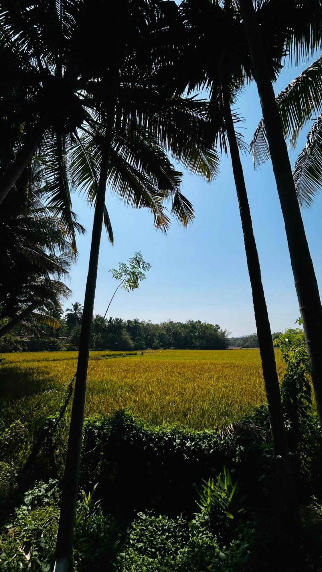 Homestay Namasthe Ac, Ottapalam Ottappalam
